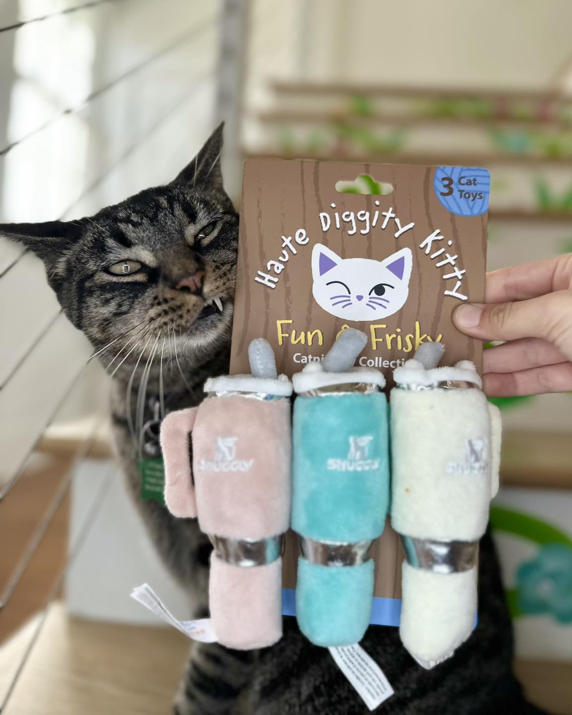 Snuggly Cup Cat Toys, 3 pack