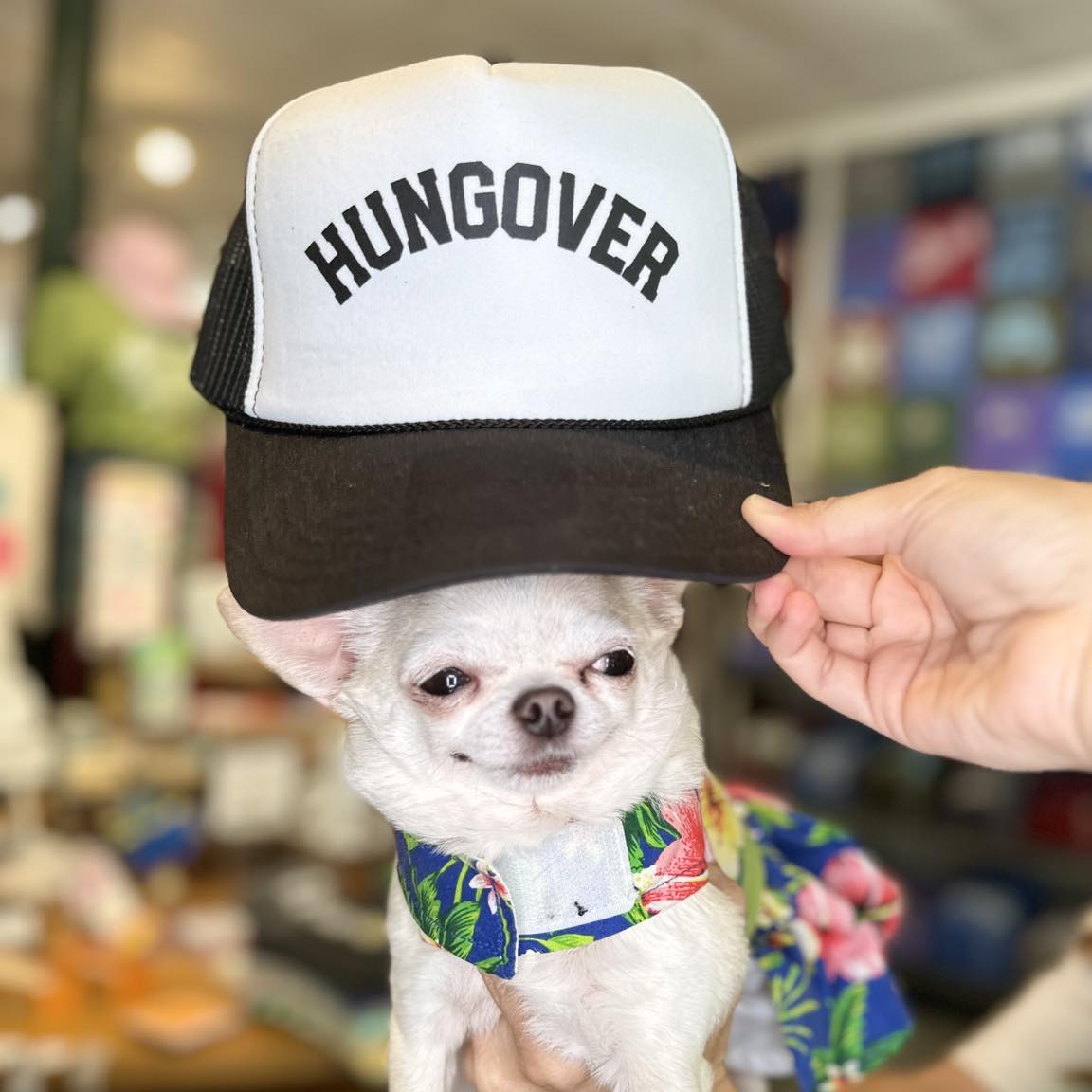 Hungover Trucker Hat