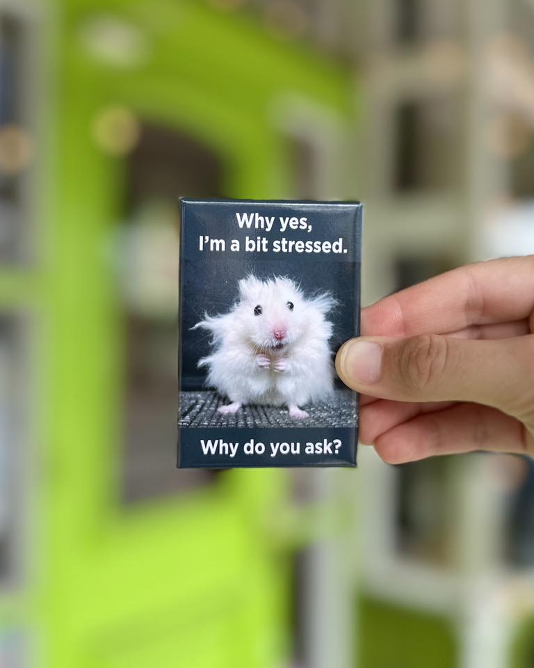 Bit Stressed Magnet