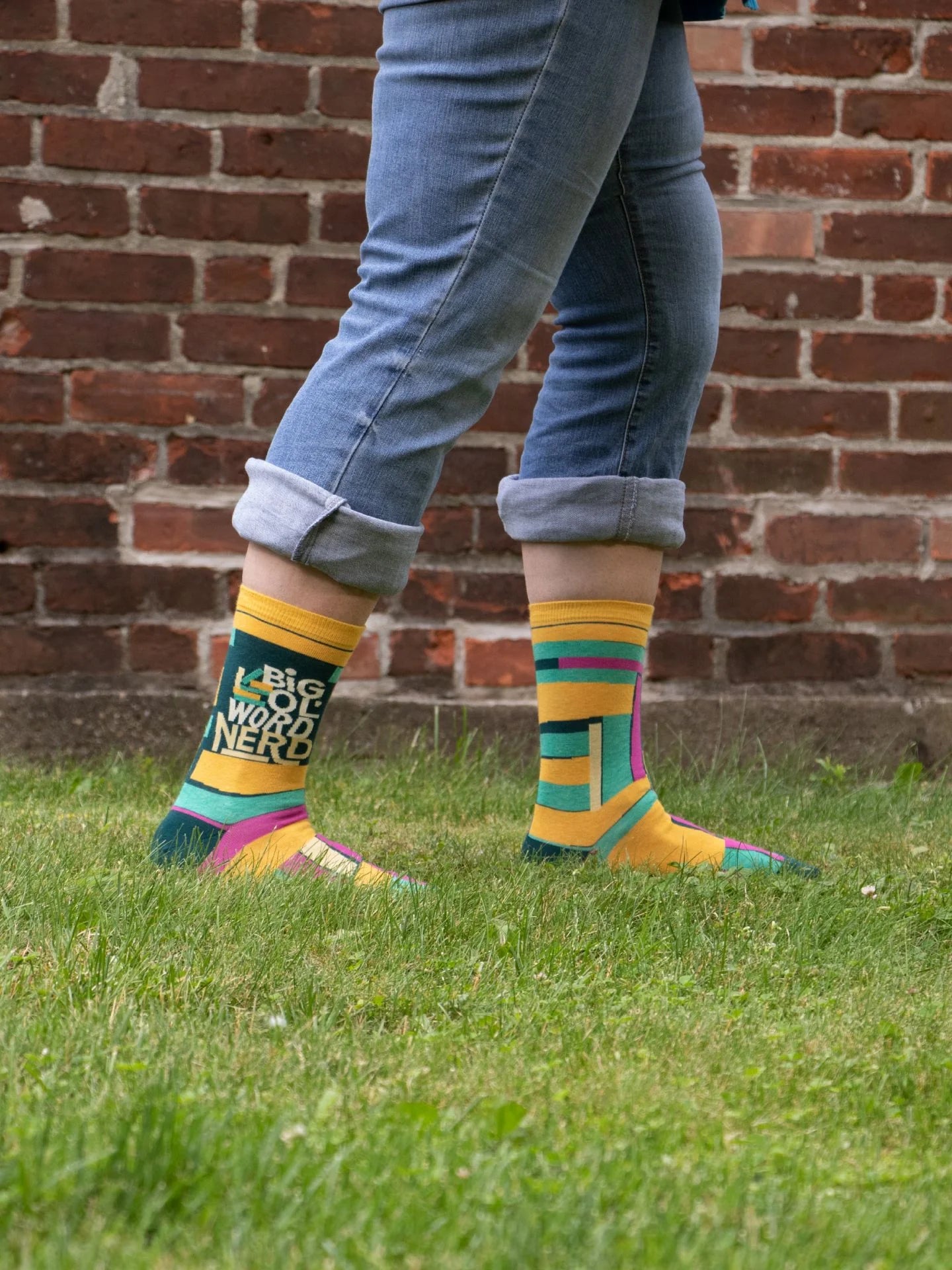 Big Ol' Word Nerd Socks