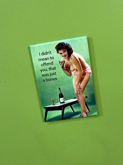 Didn't Mean to Offend You Magnet