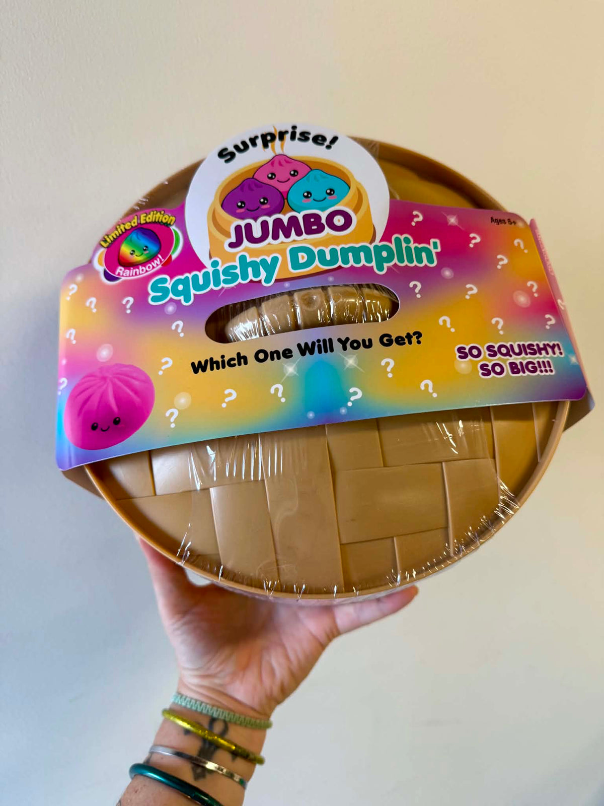 Mystery Dumpling Squishy, Jumbo Size