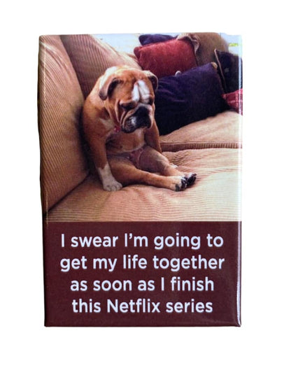 Netflix Series Magnet