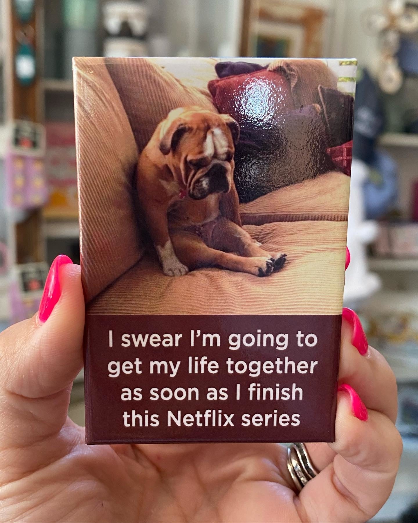 Netflix Series Magnet