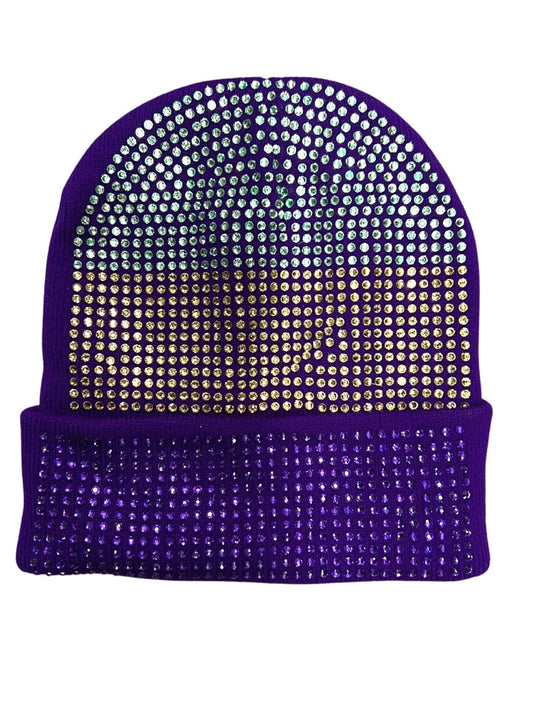 Mardi Gras Purple Rhinestone Beanie