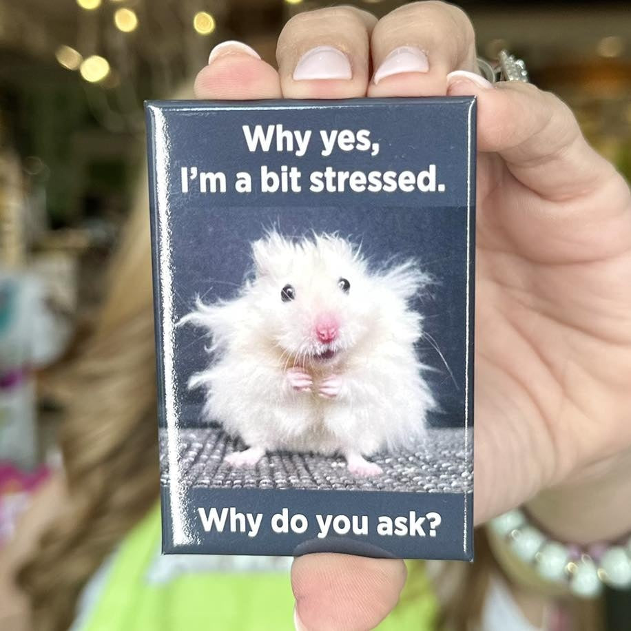 Bit Stressed Magnet