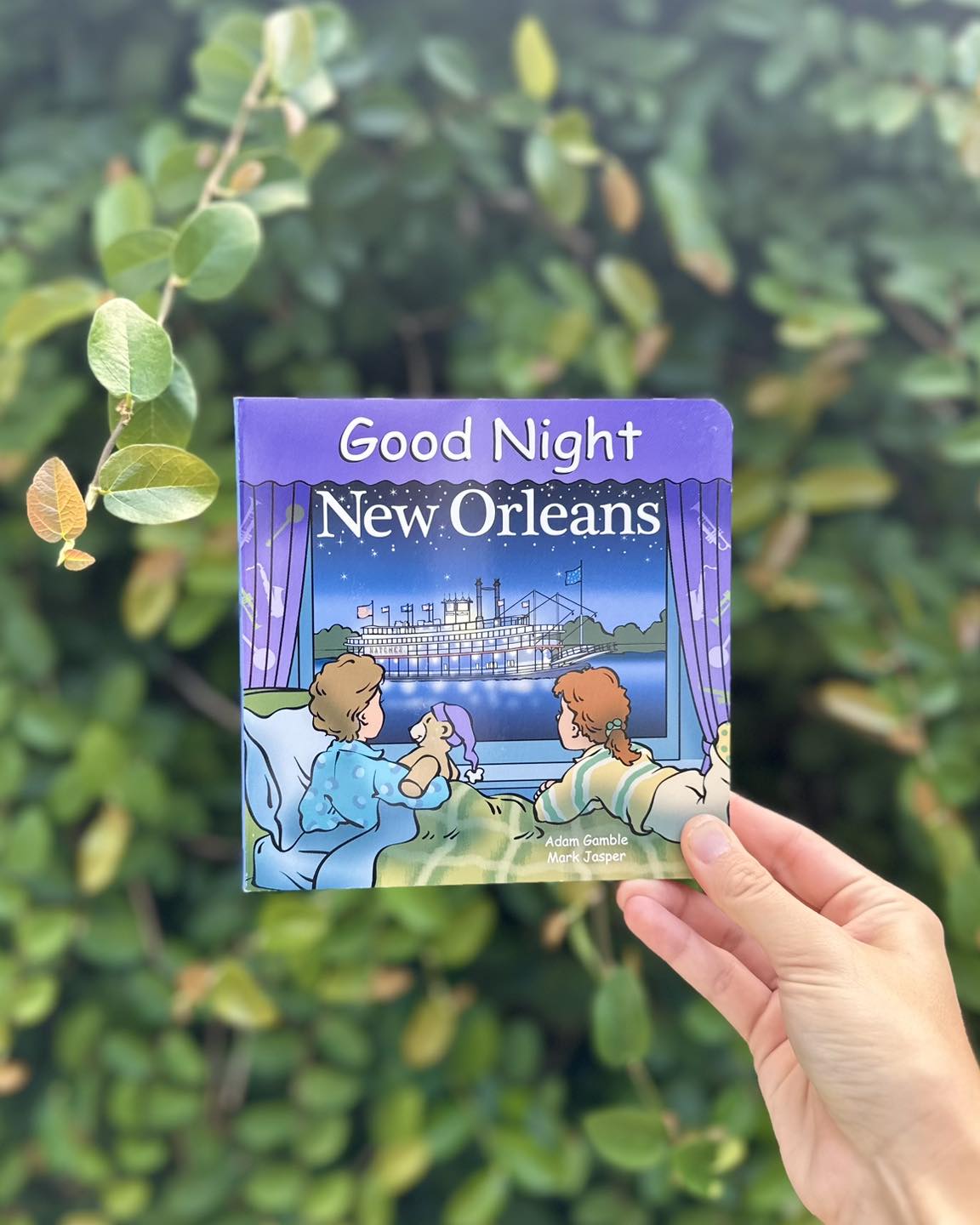 Good Night New Orleans Book