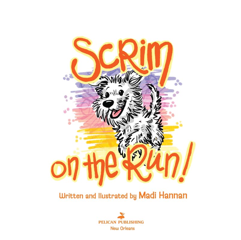 Scrim on the Run Book *Pre-Sale*