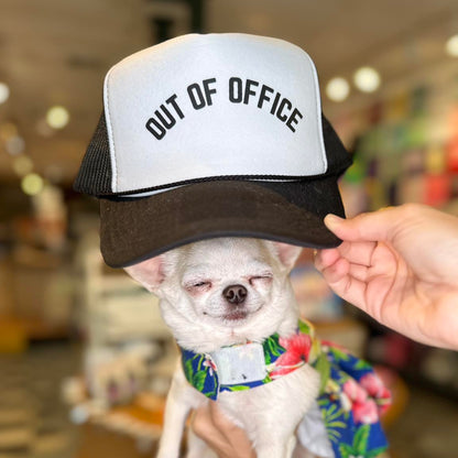 Out of Office Trucker Hat