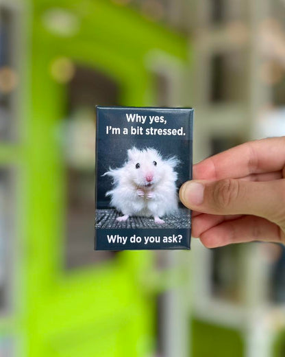 Bit Stressed Magnet