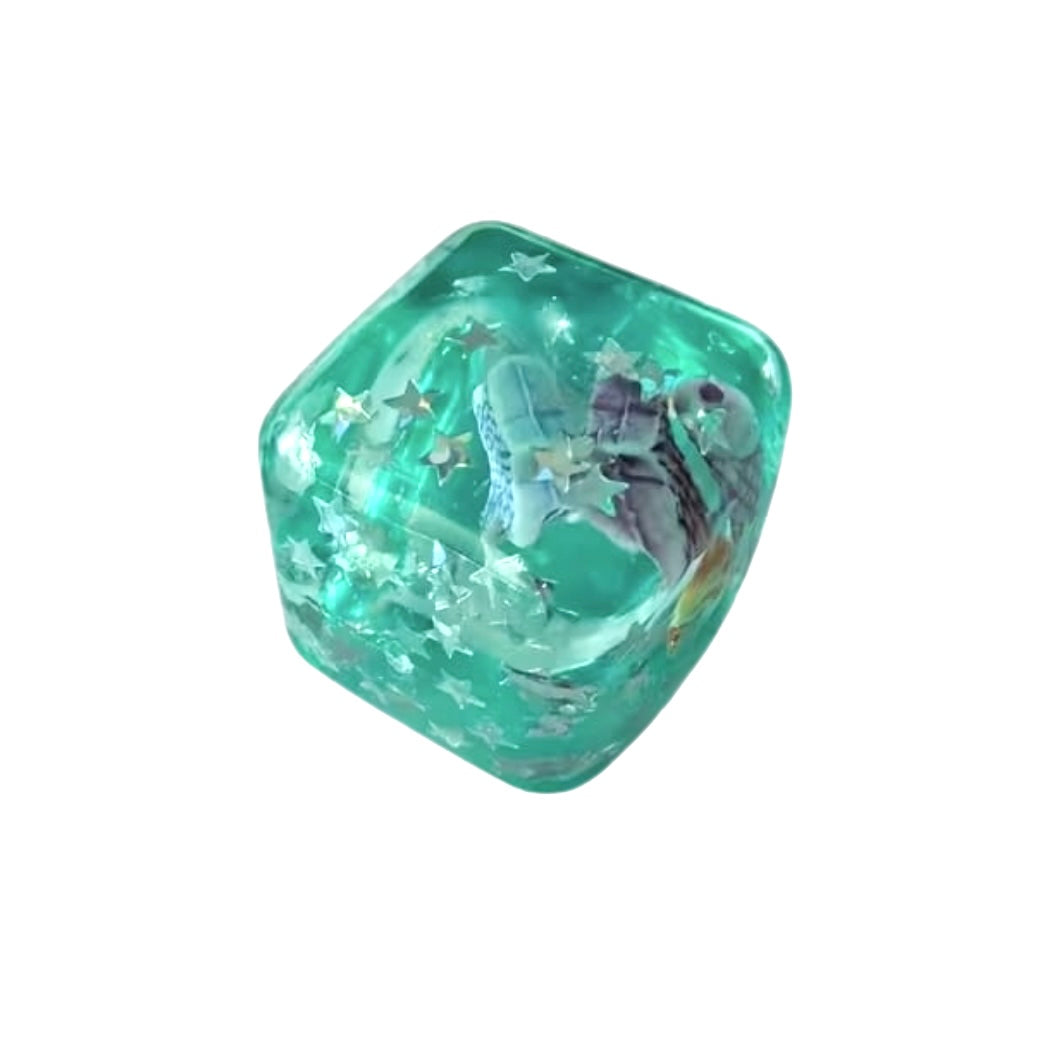 Seashell Squish Cube, Mini