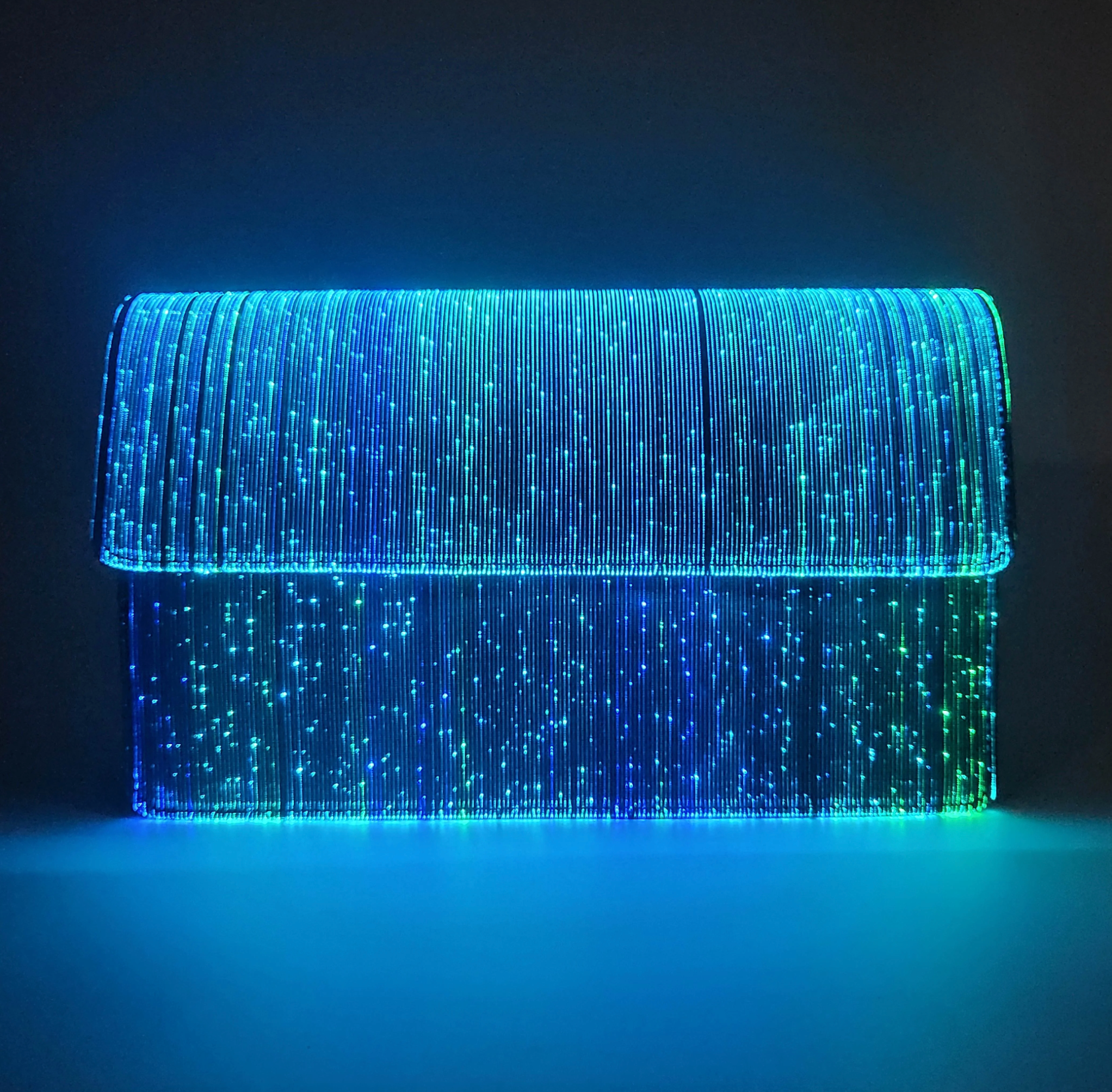 Led Purse Light-Up LED Handbag – Fleurty Girl