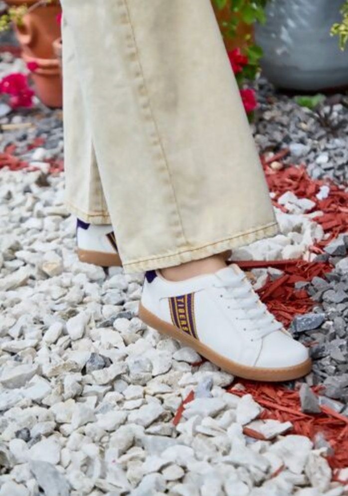 Tigers Stripe Shoes