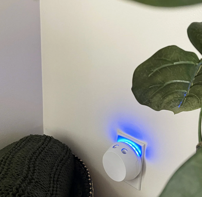 Pura + Sweet Grace Diffuser Kit