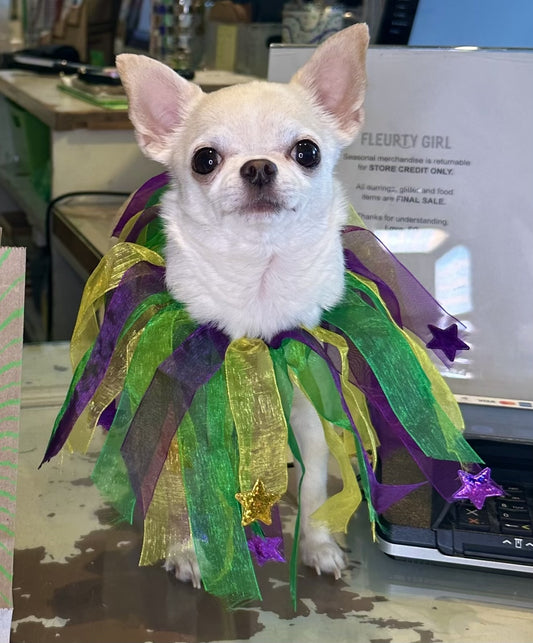 Mardi Gras Stars Ponytail Pet Collar