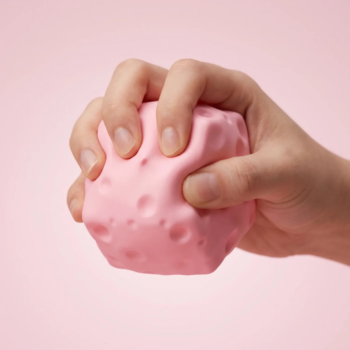 Pink Cheese Squishy, Small